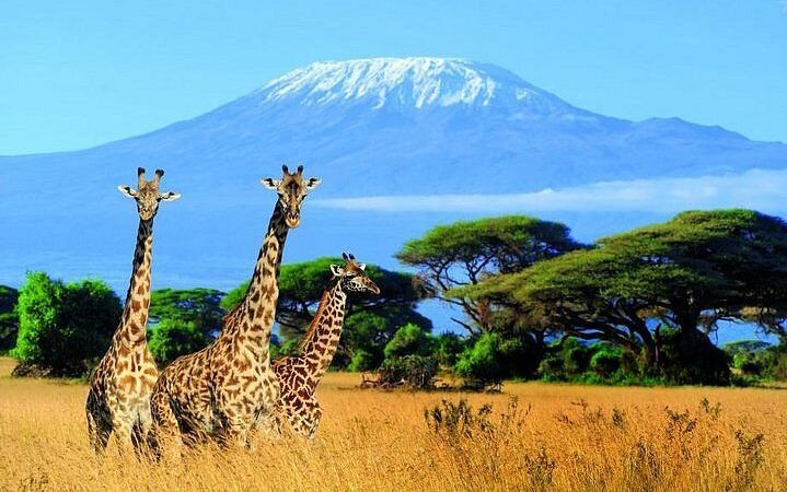 Mount Kilimanjaro